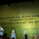 Visualizza l'immagine ingrandita STILL LIFE (2013)